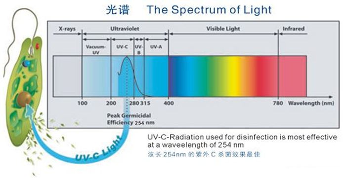 科普！紫外線殺菌燈對(duì)人體影響及正確使用方法